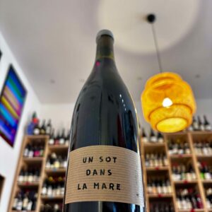 VDF - Un Sot Dans La Mare - 2021 - Thomas Besson - Permapinard