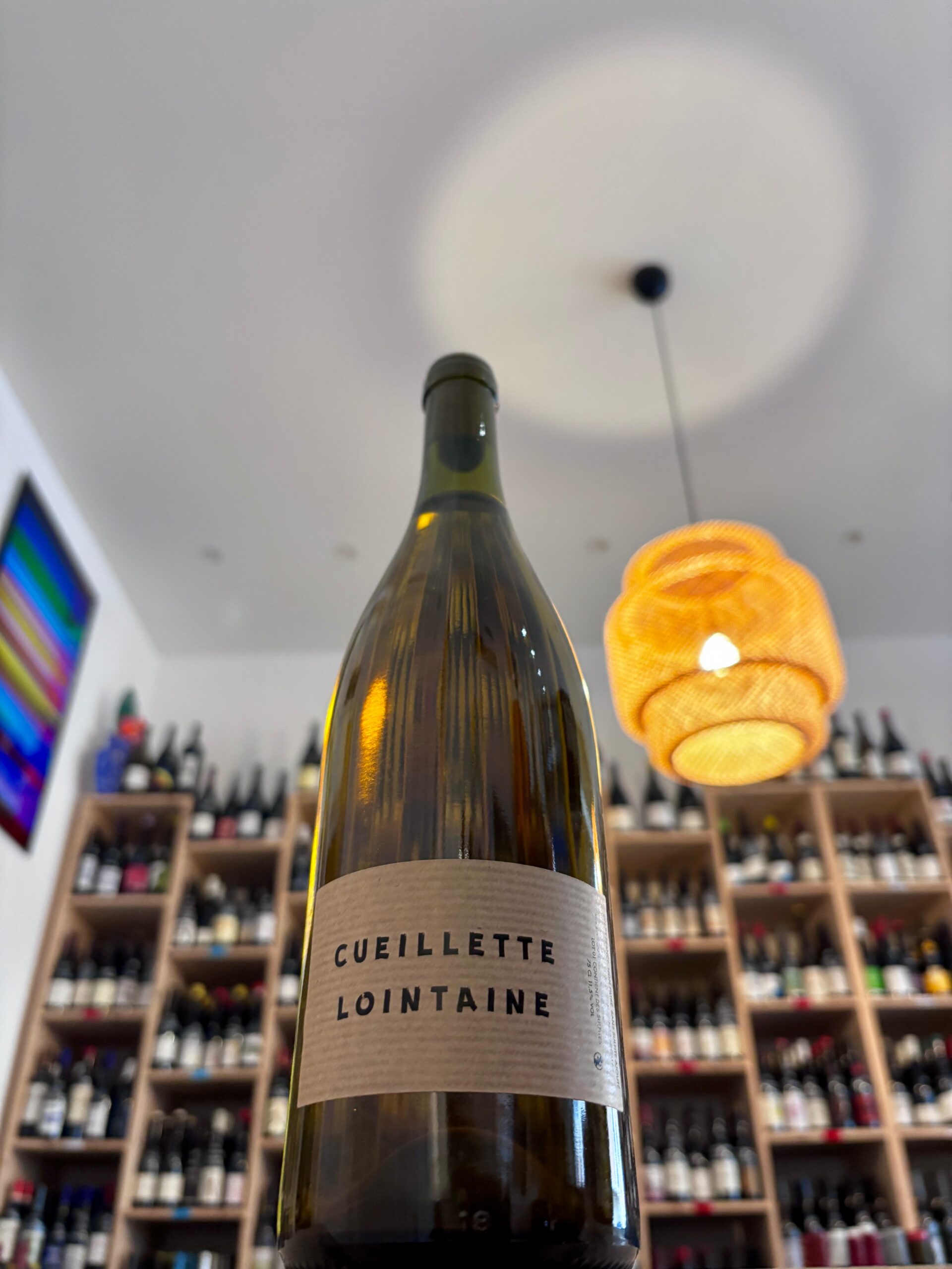 VDF - Cueillette Lointaine - 2021 - Thomas Besson - Permapinard